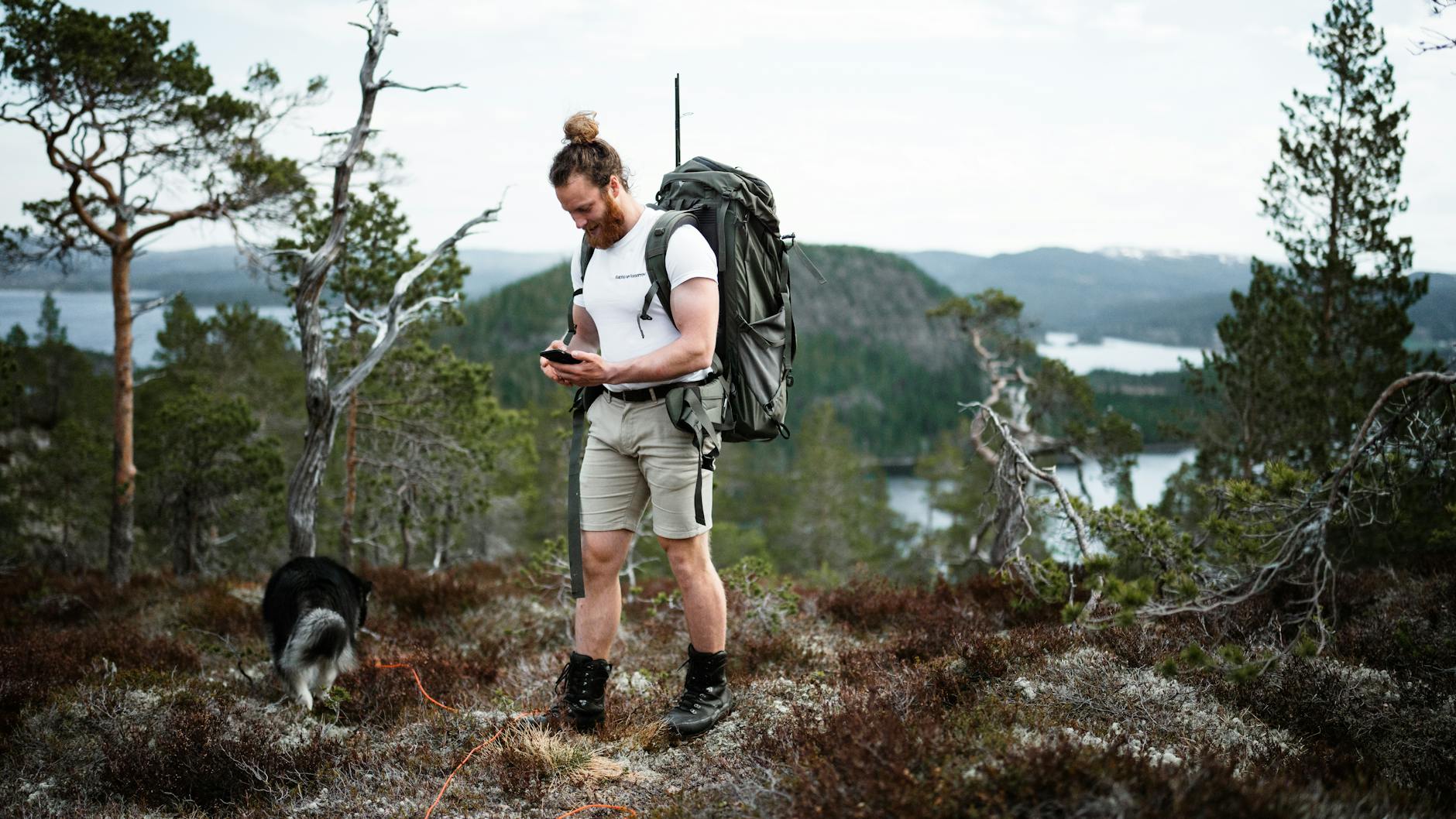 Best Dog Boots for Hiking: 7 Trail-Tested Picks (2026)