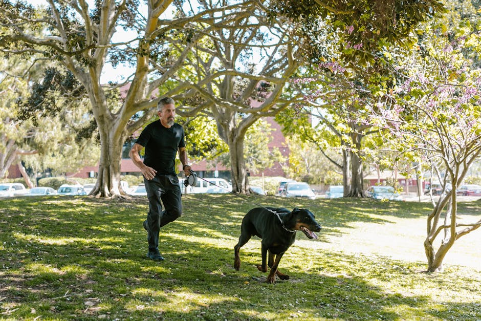 Dog owner with their dog in a park using GPS tracker for safety during outdoor activities