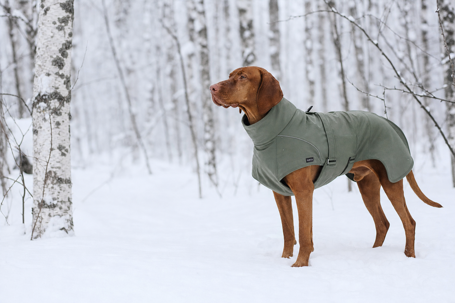 Hurtta Summit Parka soft-shell winter