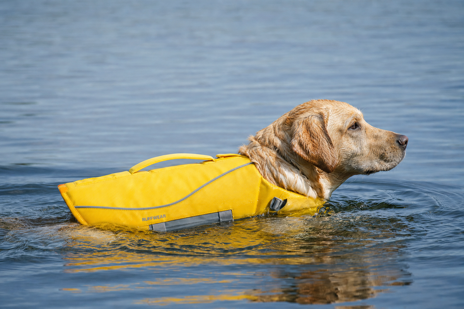 Ruffwear Float Coat dog life jacket