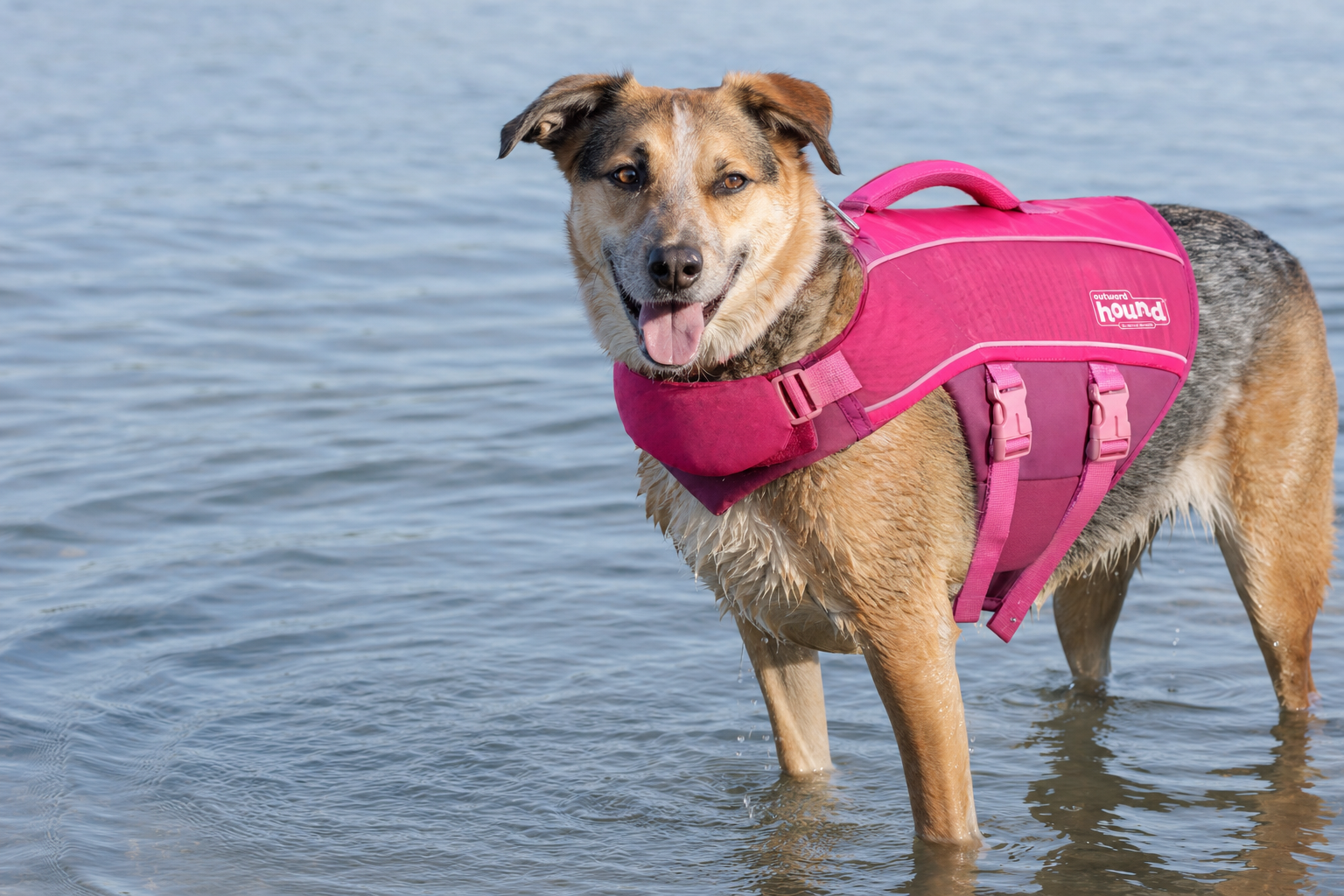 Outward Hound Granby Splash life jacket
