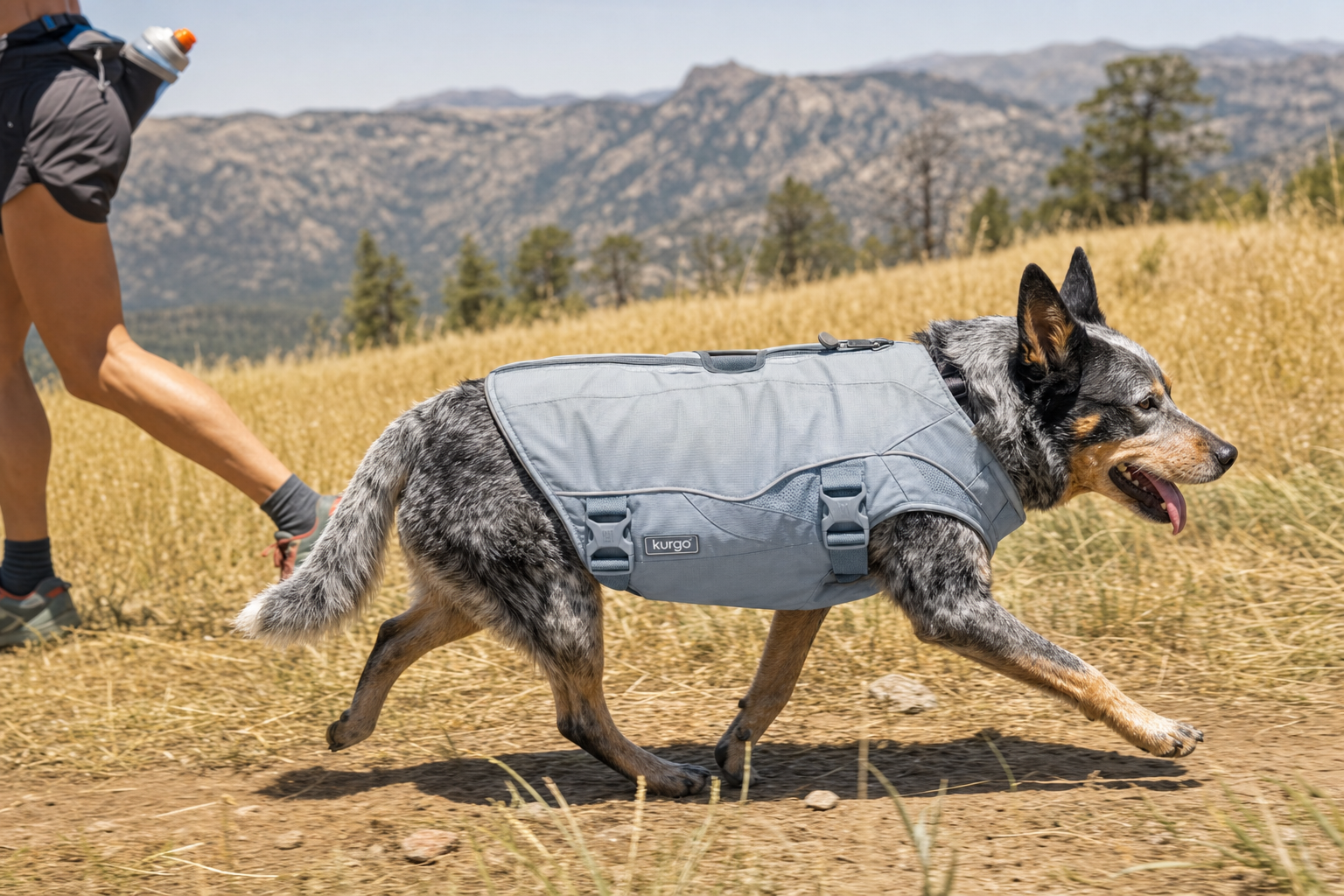 Kurgo Core Cooling Dog Vest full-torso